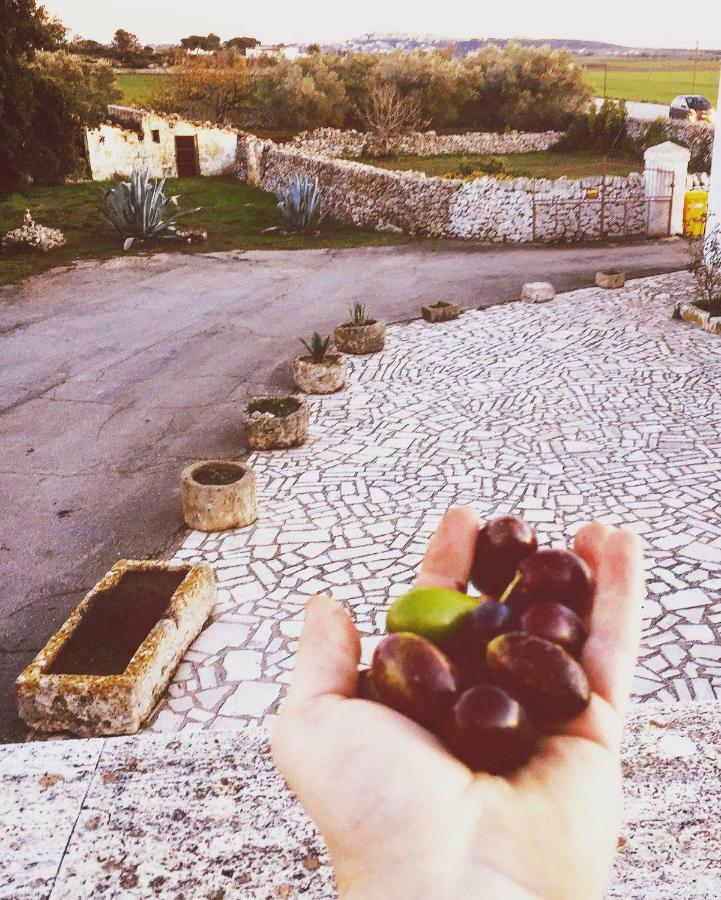 Masseria Cassiere Мотола Екстериор снимка