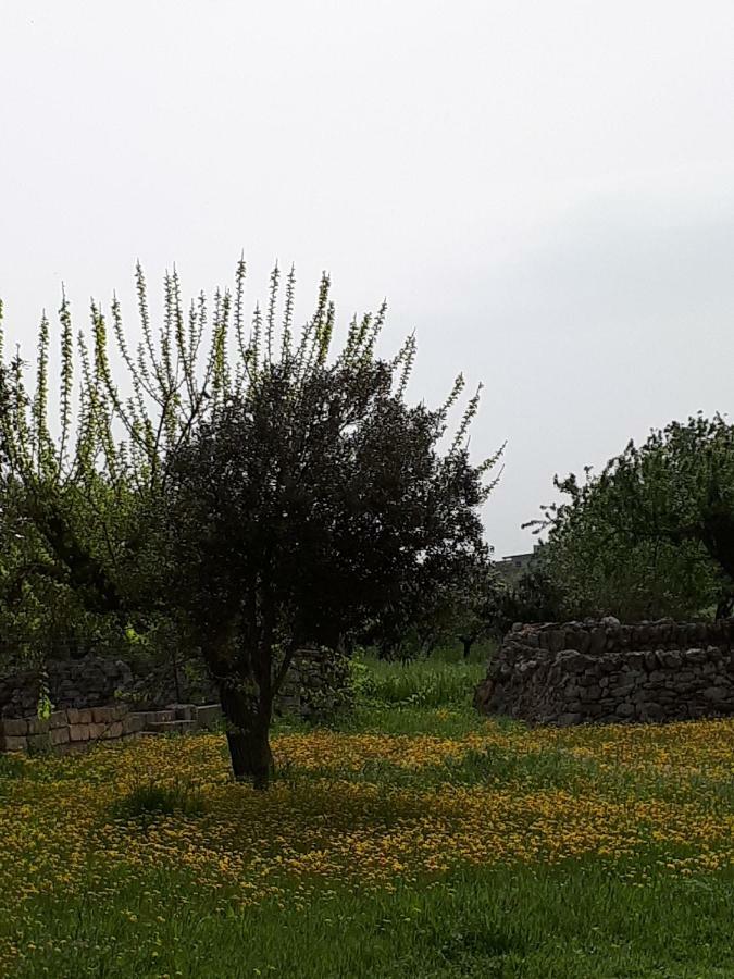 Masseria Cassiere Мотола Екстериор снимка